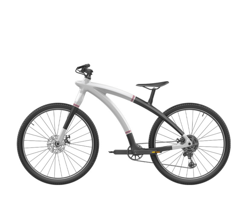 electric mountain bike