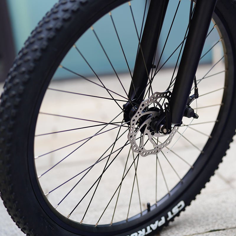 fat tire electric bike