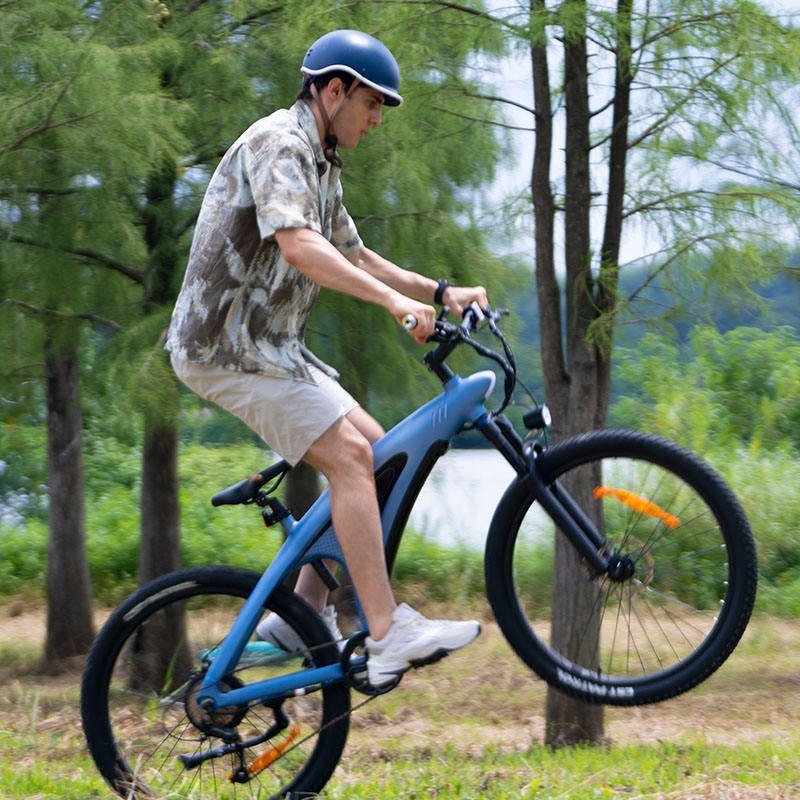 oem adult ebike