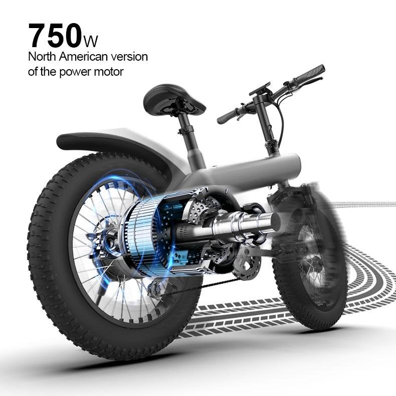 electric fat bike