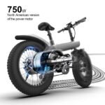 electric fat bike