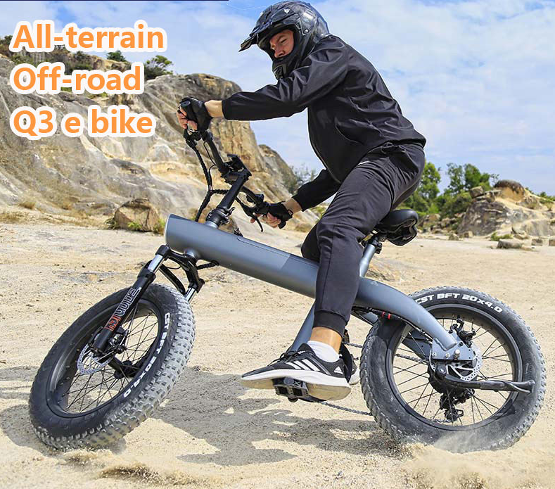 electric hybrid bike