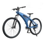 wholesale elecric bike