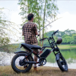 custom oem electric bike