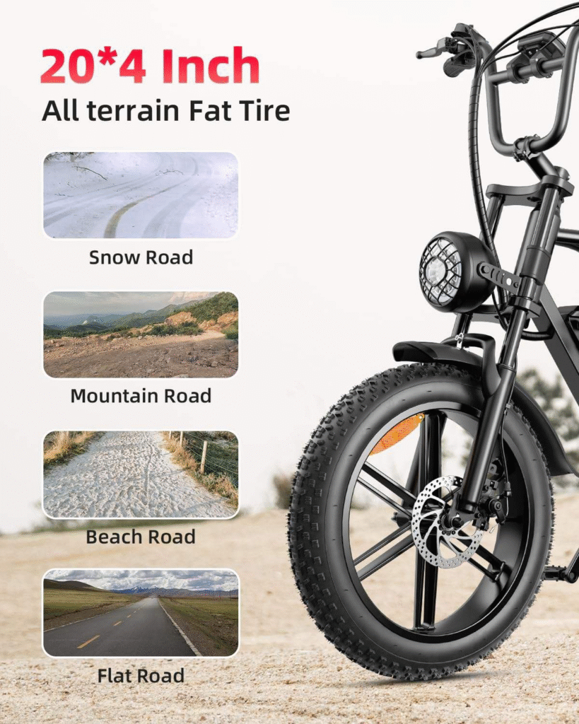 fat tire mountain road cargo city electric bike