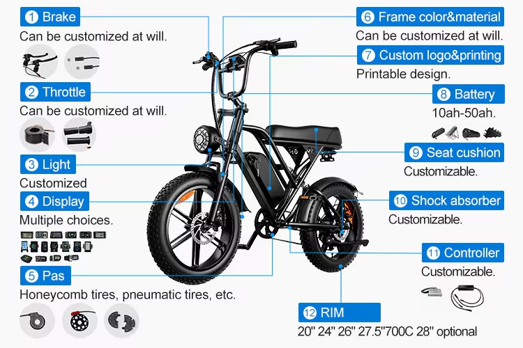 oem custom mountain electic bike